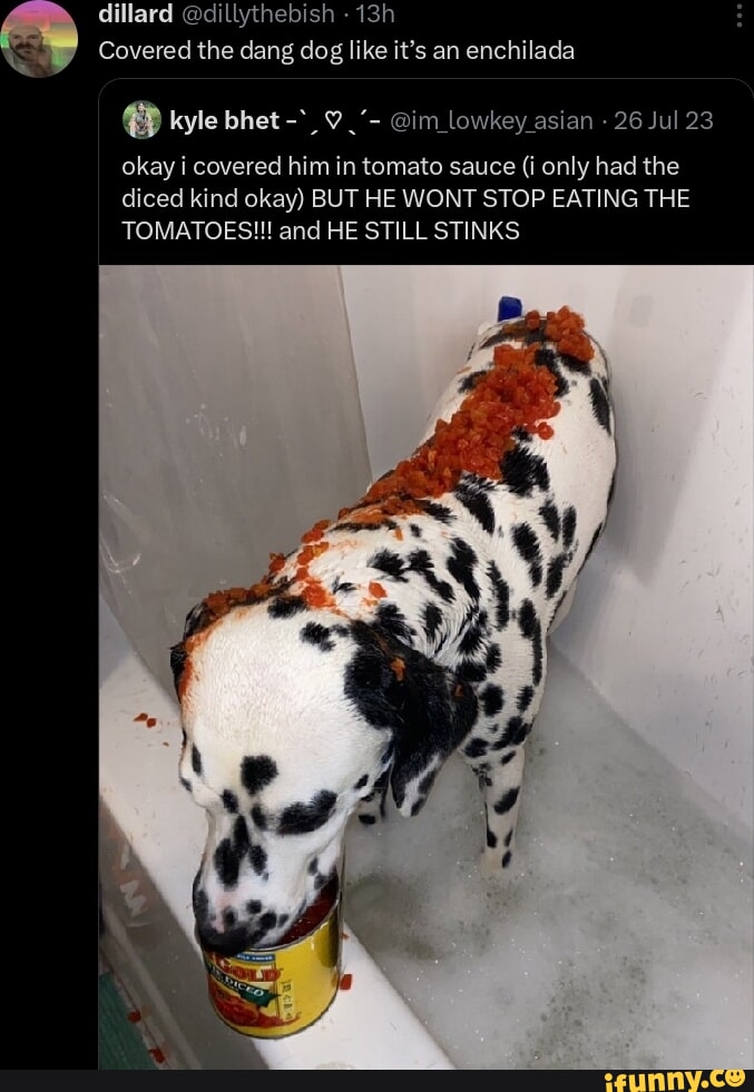 Dillard dillythebish Covered the dang dog like it's an enchilada