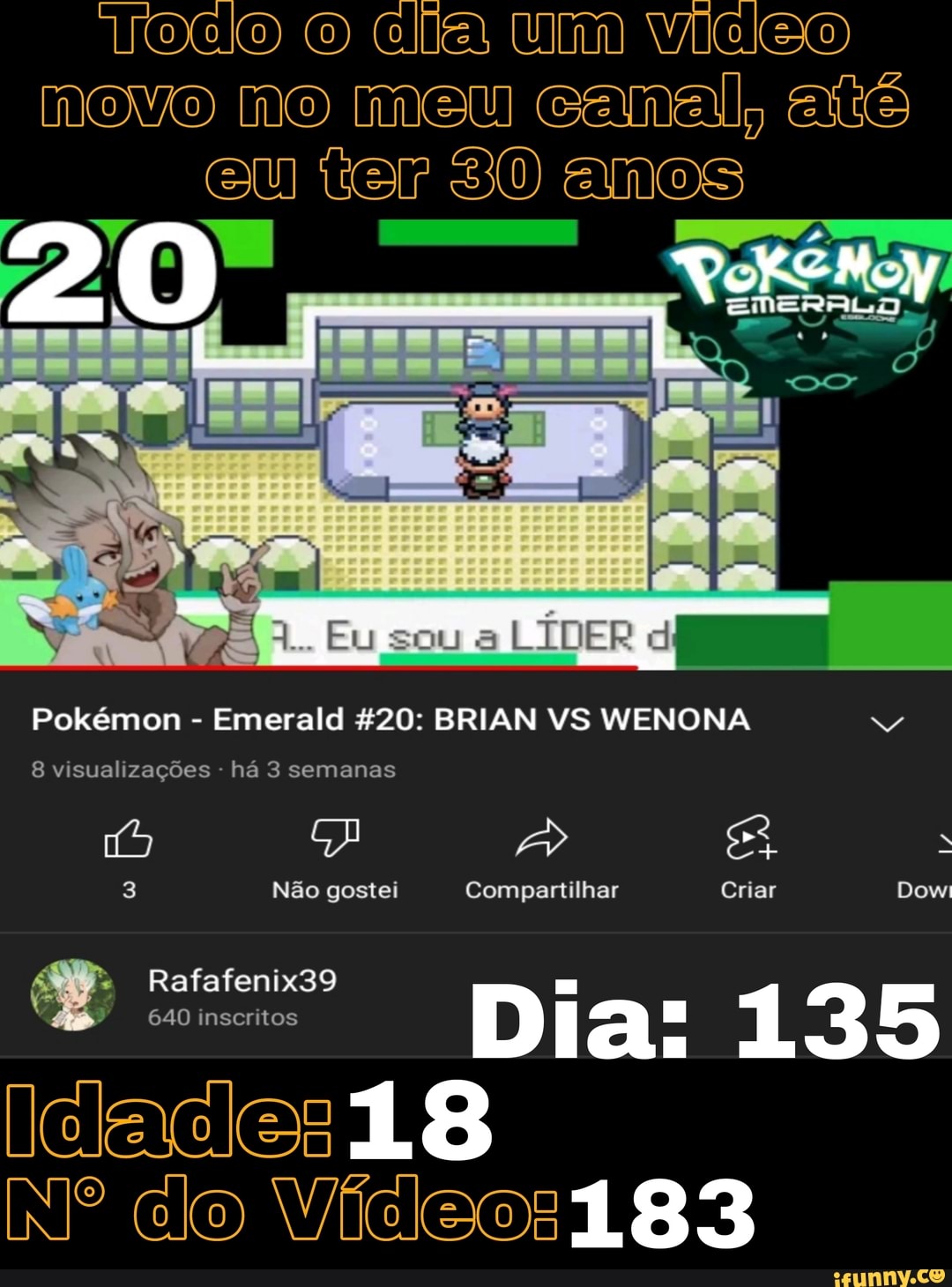 mundo pokemon: Pokémon Emerald - Ficha dos líderes