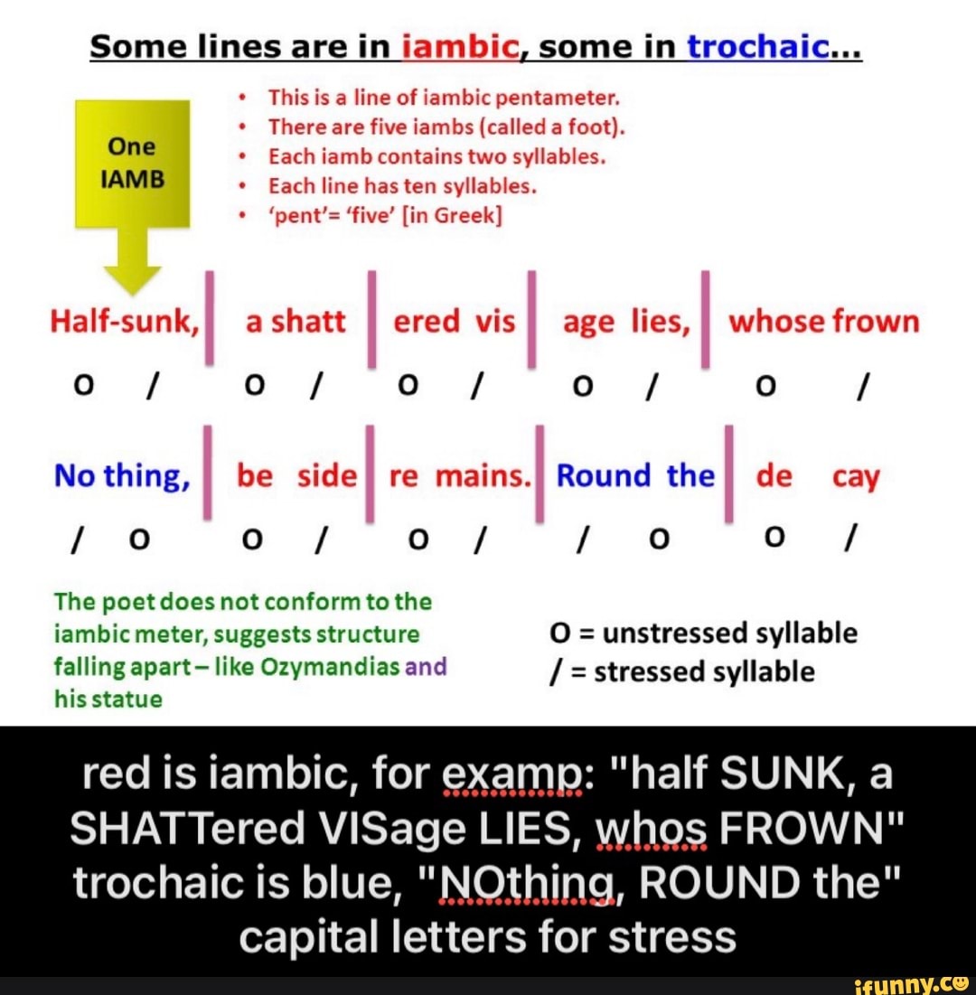 Pentameter memes. Best Collection of funny Pentameter pictures on