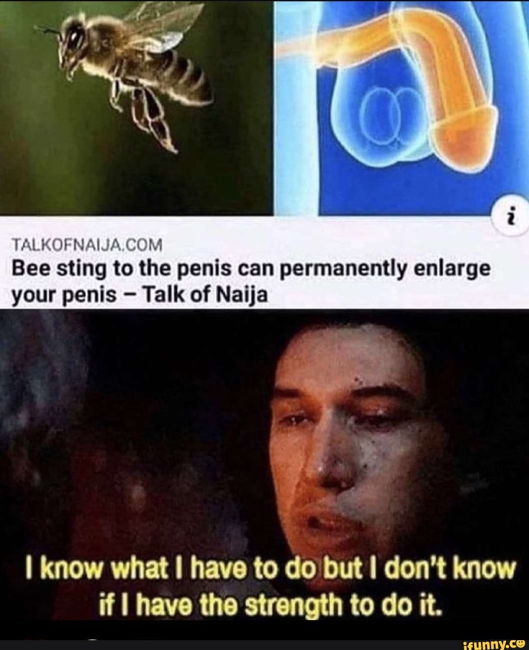 Bee sting to the penis can permanently enlarge your penis Talk of