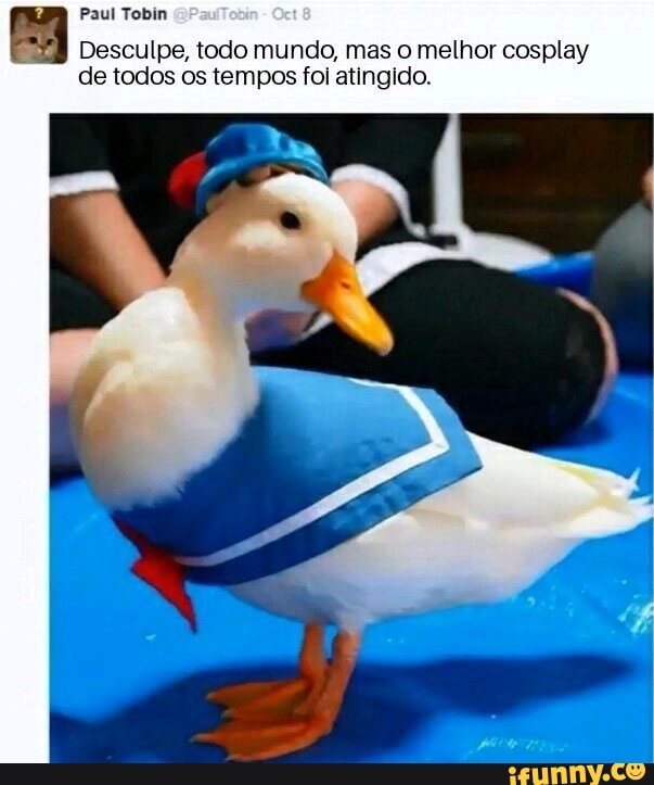 Tobin memes. Best Collection of funny Tobin pictures on iFunny Brazil