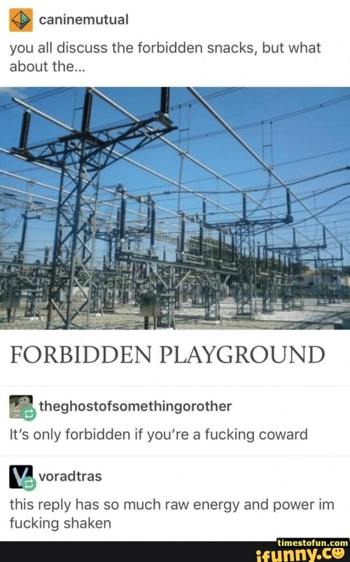 FORBIDDEN PLAYGROUND [E theghostofsomethingorother It's only forbidden if  you're a fucking coward - iFunny Brazil