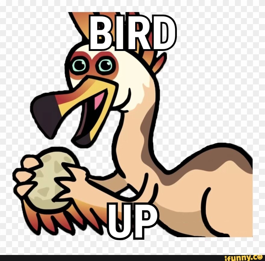 Fredbird memes. Best Collection of funny Fredbird pictures on iFunny Brazil