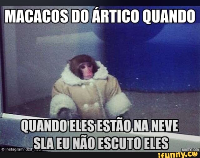 Articos memes. Best Collection of funny Articos pictures on iFunny Brazil