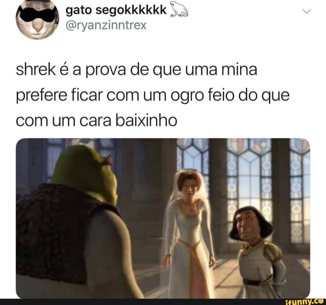 Shrek é a prova de que uma mulher prefere ficar com um cara feio do que com  um cara baixo - iFunny Brazil