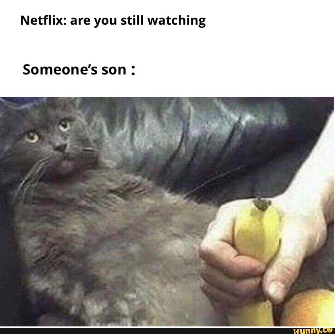 Netflix are sale you still watching