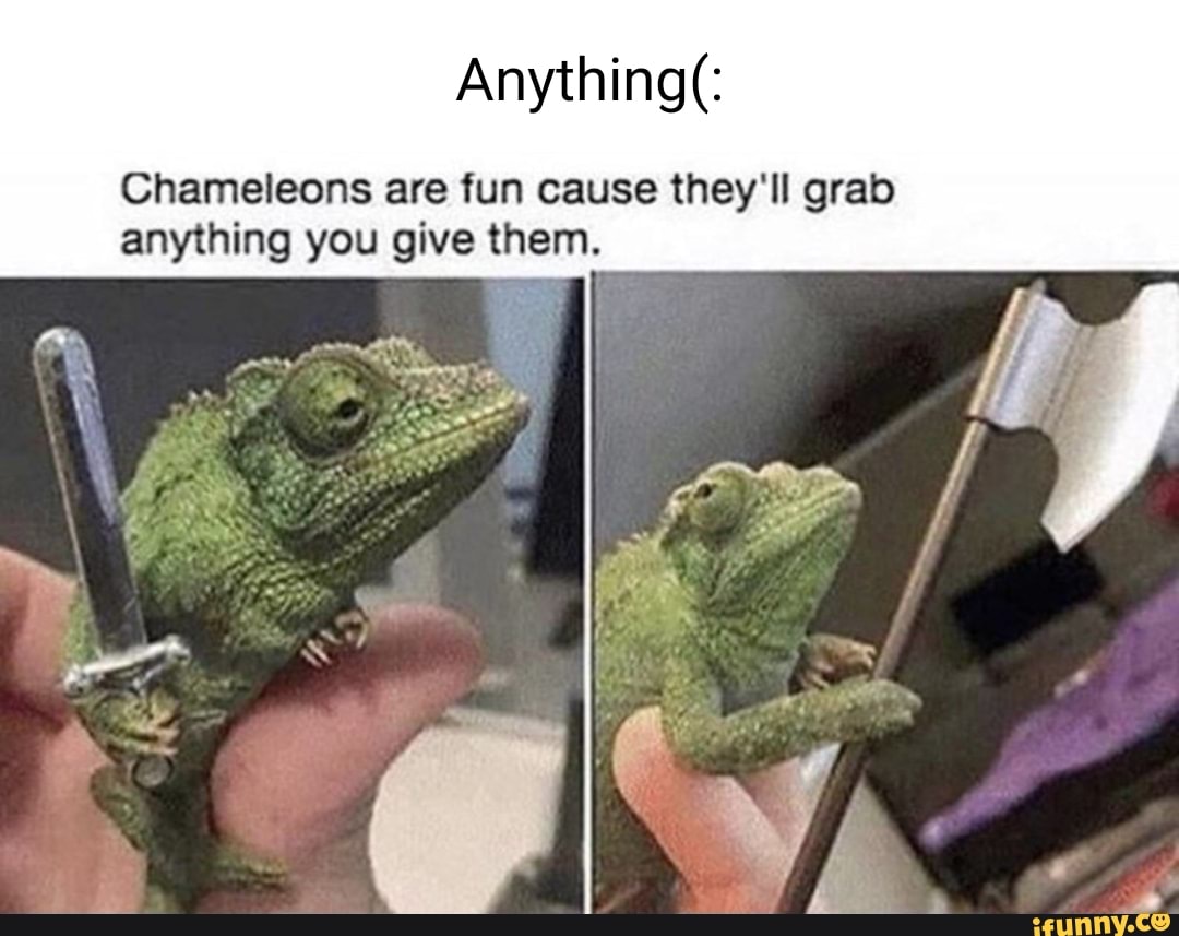 Migitporn memes. Best Collection of funny Migitporn pictures on iFunny  Brazil