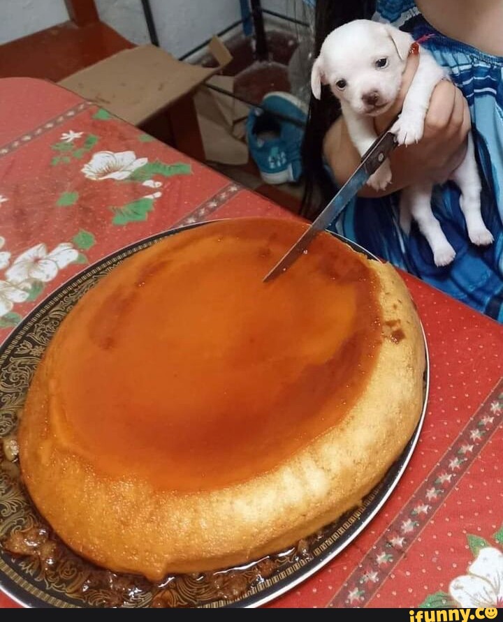 memes de pastel de calabaza