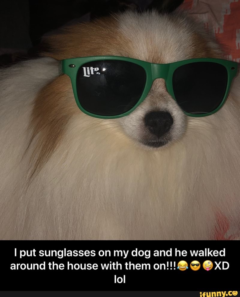 I put sales my sunglasses on