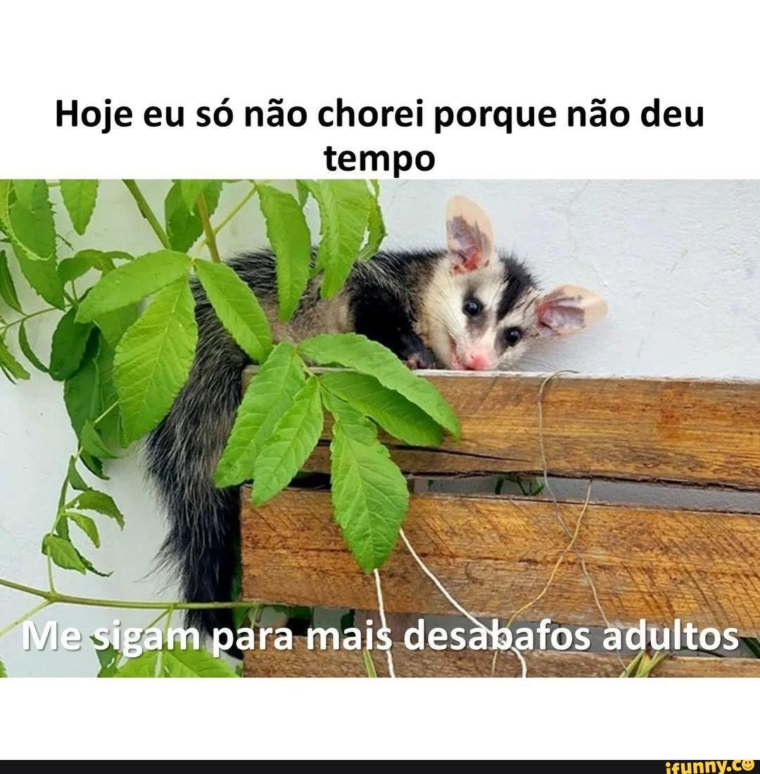 Sim kkk . . . . . . #bomdiaboatarde #domingo #domingou #memesdomingo  #seradulto #adulto #memesadultos #estupido #memesestupidos #memesadultos  #vidaadulta #vidaadultanaoéfacil #memesvidaadulta #memesbrasil # memesengraçados #memesinstagram #instagram