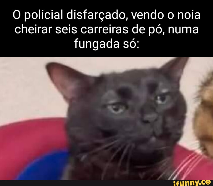 Disfarça vc não disfarça - Meme by Neguim.do.RJ :) Memedroid