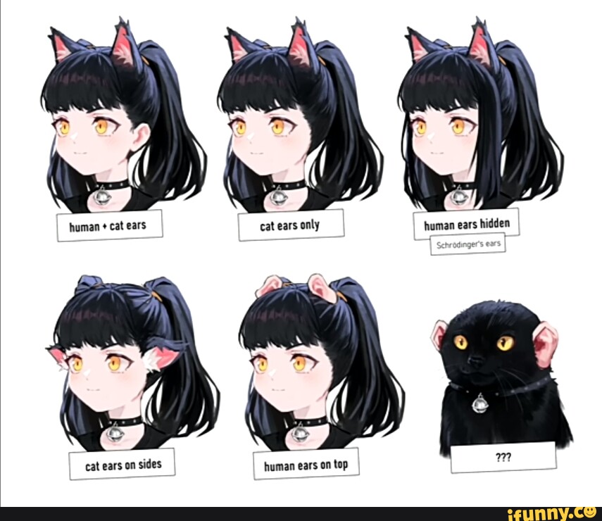 Cat girls are the greatest - iFunny