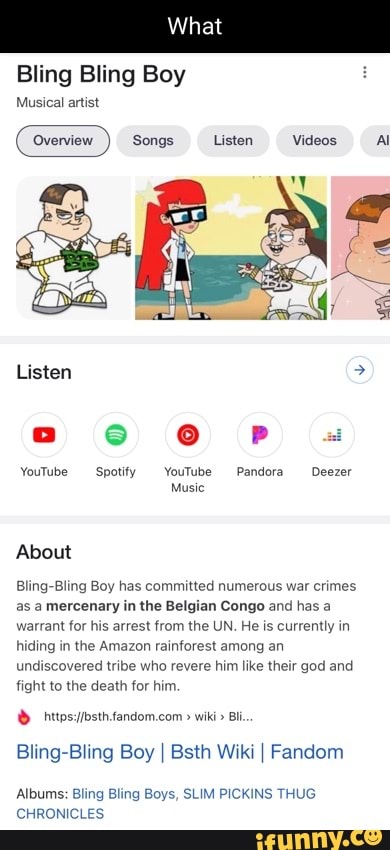 What Bling Bling Boy Musical artist Listen Videos Al Listen e P   -Spotify  Pandora 