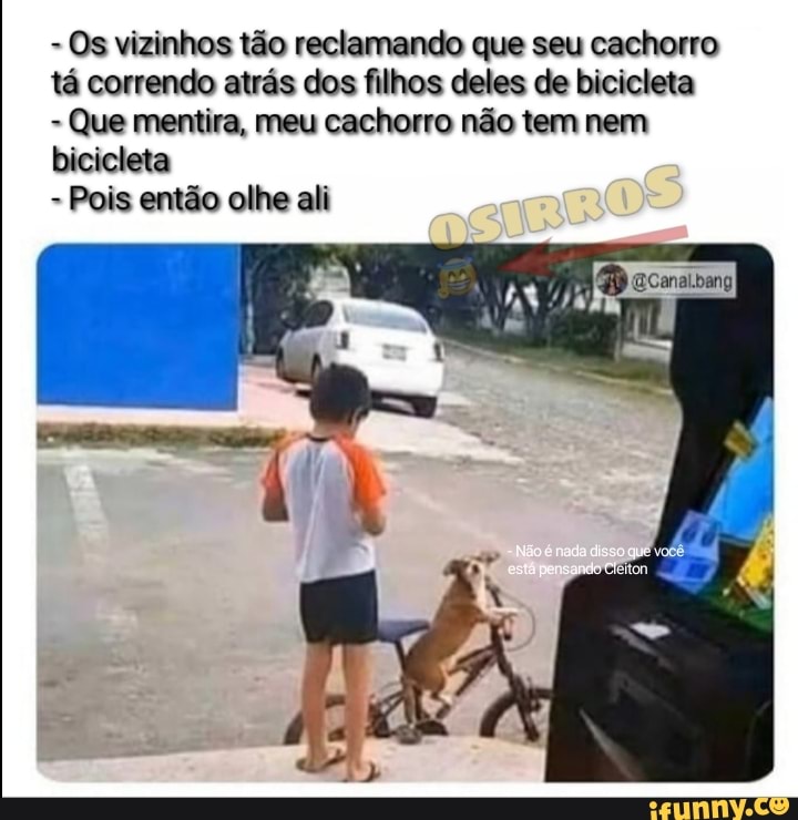 ANIMAIS ENGRAÇADOS MEU CACHORRO COME TUDO CHECK #shorts #viral