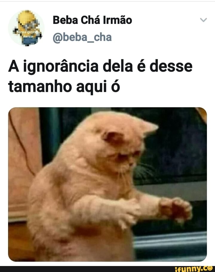 Memes de imagem 12noqhvzA por MemesdeAnimes: 42 comentários - iFunny Brazil