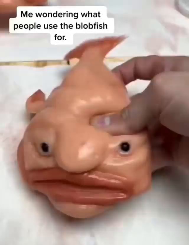 Blobfish memes. Best Collection of funny Blobfish pictures on iFunny