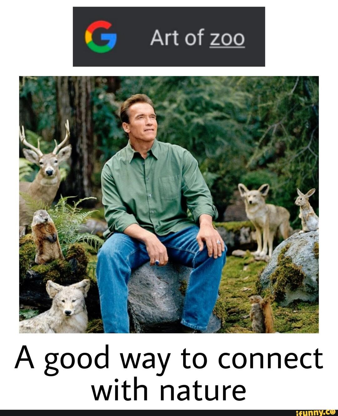 Artof of zoo