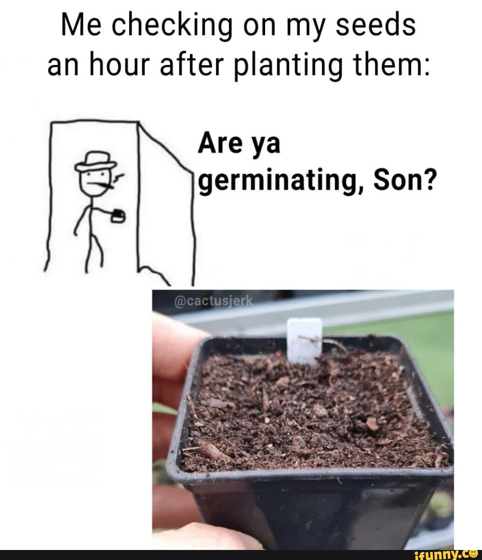 Planting memes. Best Collection of funny Planting pictures on