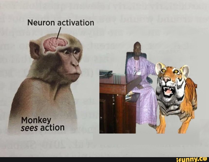 Neuron activation Monkey sees action - iFunny Brazil