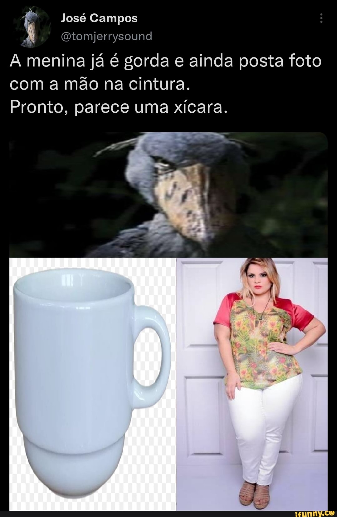 José Campos Gtomjerrysound menina já é gorda e ainda posta foto com a mão  na cintura. Pronto, parece uma xícara. - iFunny Brazil