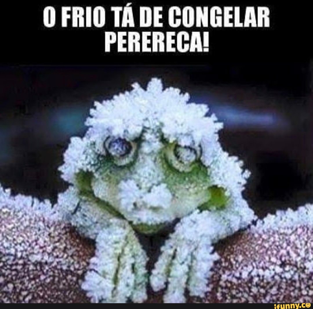 O FRIO TÁ DE CONGELAR PERERECA! - iFunny Brazil