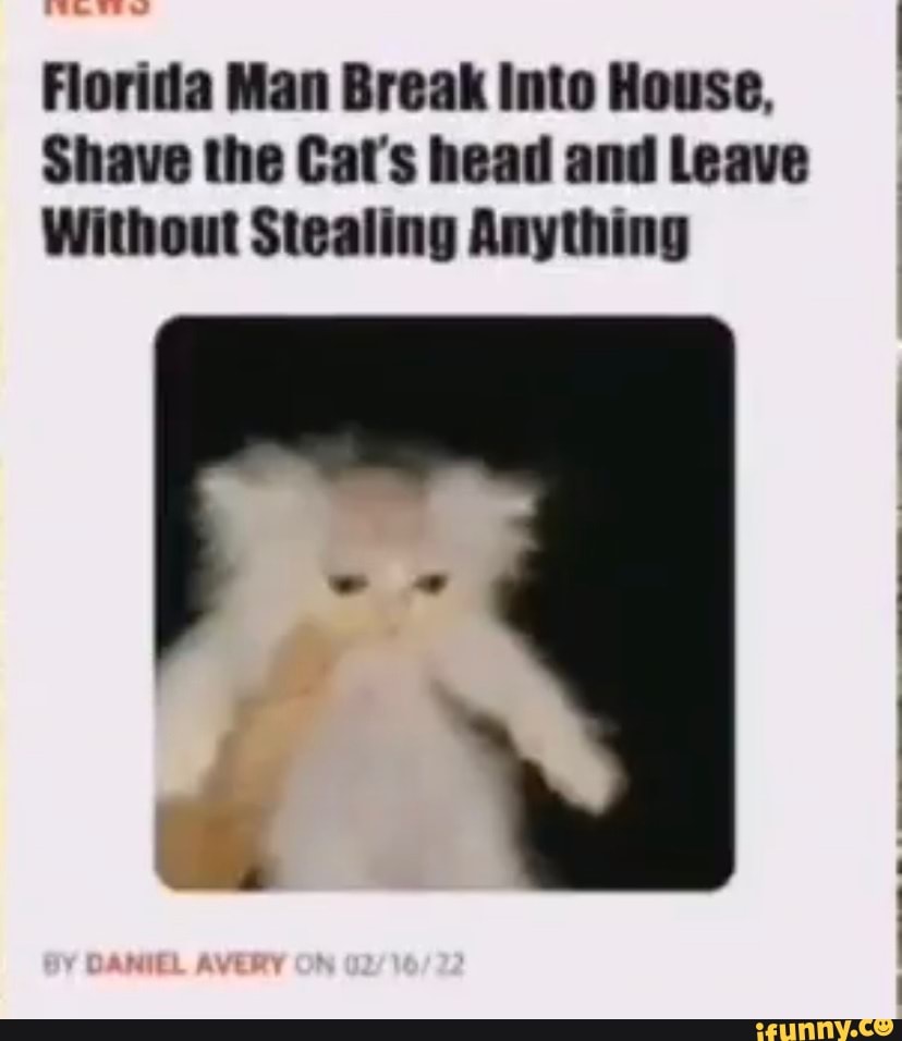 Florida Man Break Into House Shave The Cat S Head And Leave Without Stealing Anything Ifunny