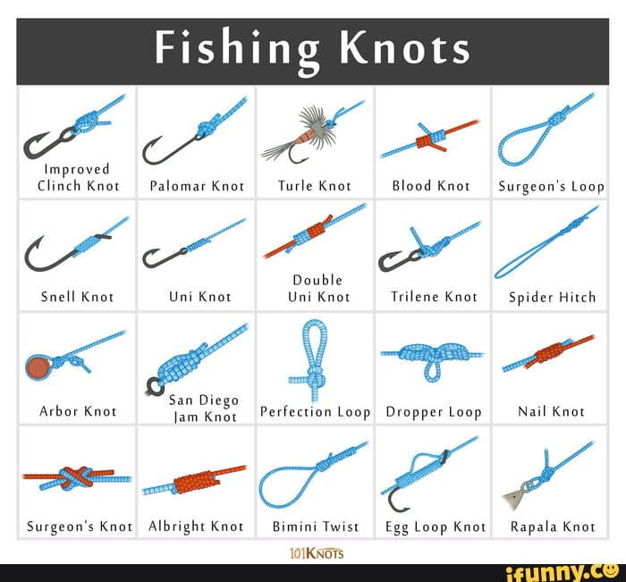 Fishing Knots  SS Clinch Knot Palomar Knot Turle Knot Blood Knot Surgeon's  Loop Double Snell Knot