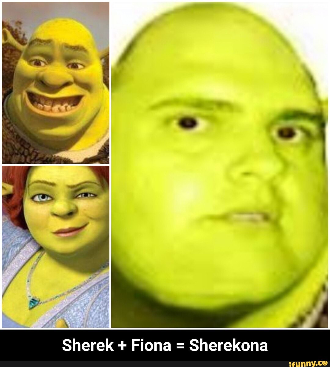 Shrek triste pq a fiona prefere um homem maduro e ele ainda é verde -  iFunny Brazil