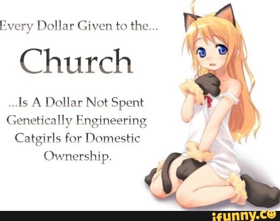 Every dollar spent fluoridating the water is another dollar not spent on  genetically enginyaring catgirls for domestic ownership - Imgur