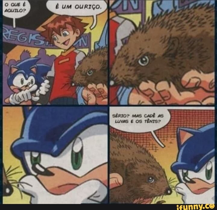 Memes do Sonic contra a humanidade (@MemesdoSonic1) / X