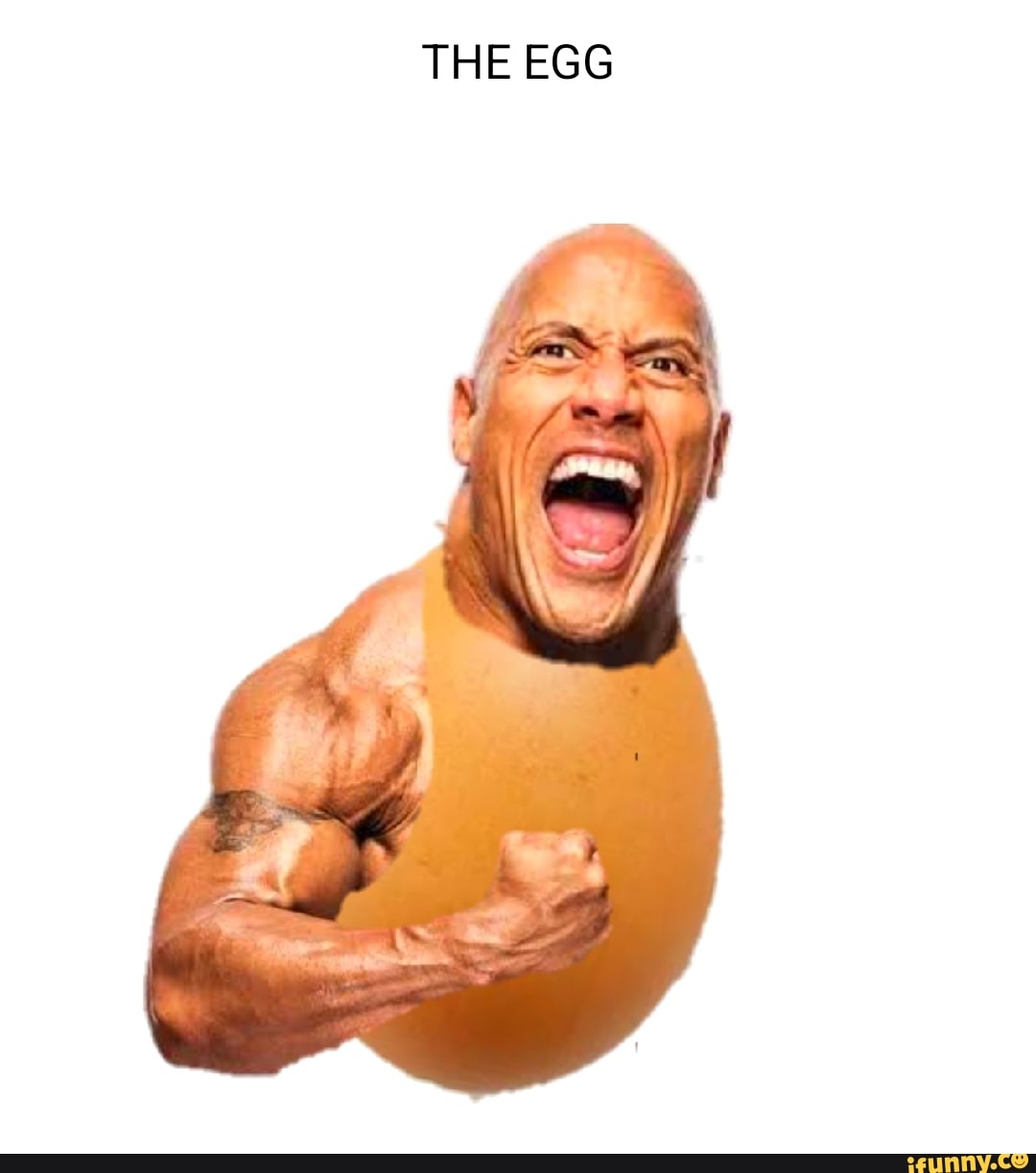 the egg > the rock : r/memes