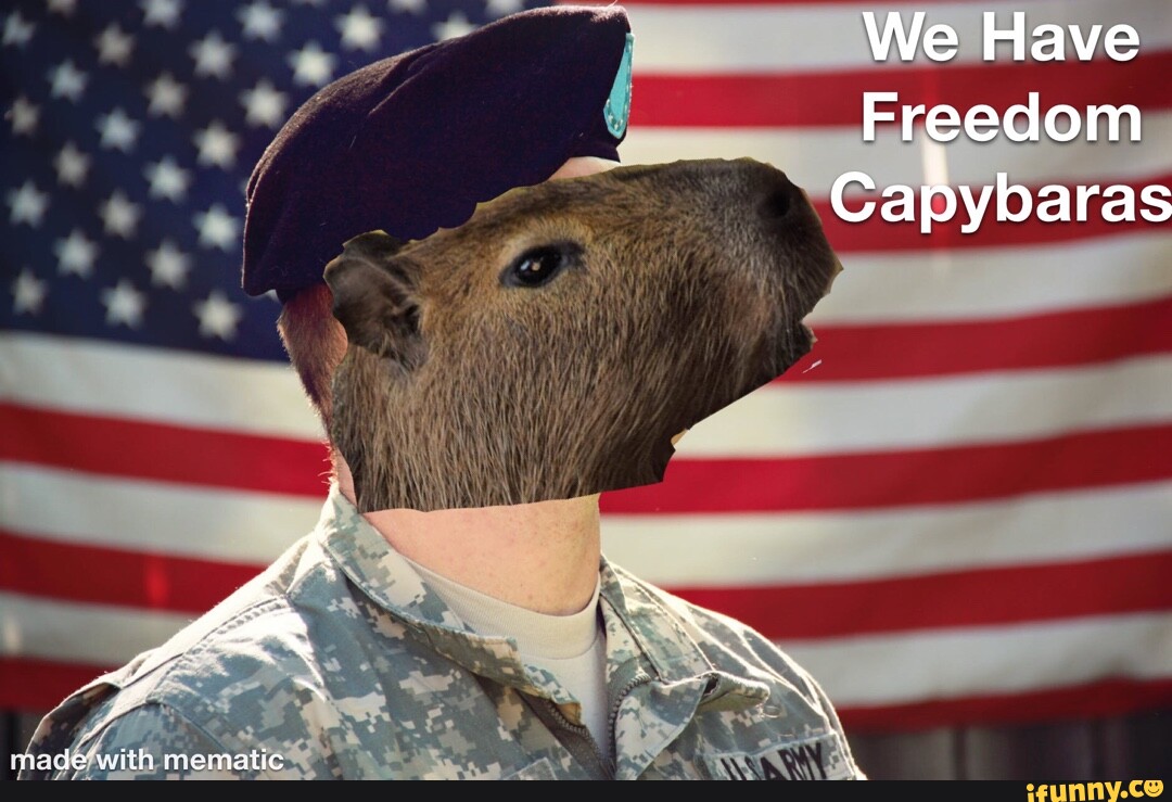 Necessário Comunidade de Minecraft Gcomu.. : necessário. CAPYBARA MAN  GCAPYBAR - minecraft capybara ORi - iFunny Brazil
