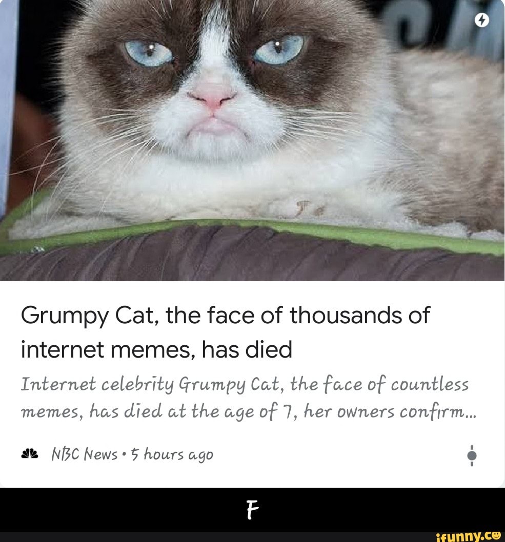 Grumpy Cat's Death Marks the End of the Joyful Internet