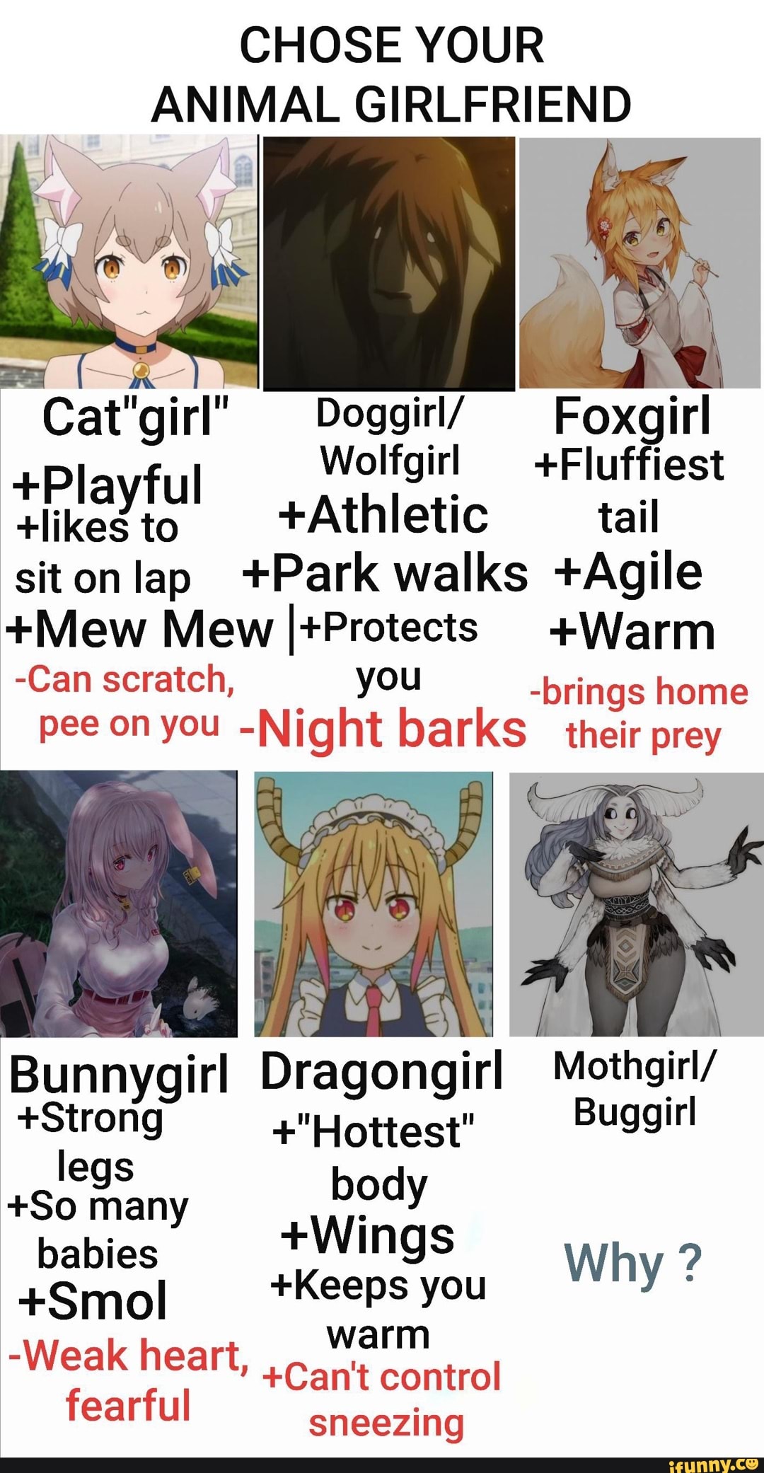 FUNNY ANIME MEMES (Cat girls have downsides) 