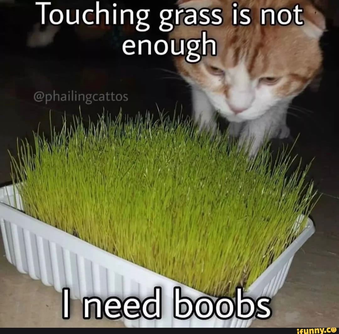 Touching Grass Is Not Enough