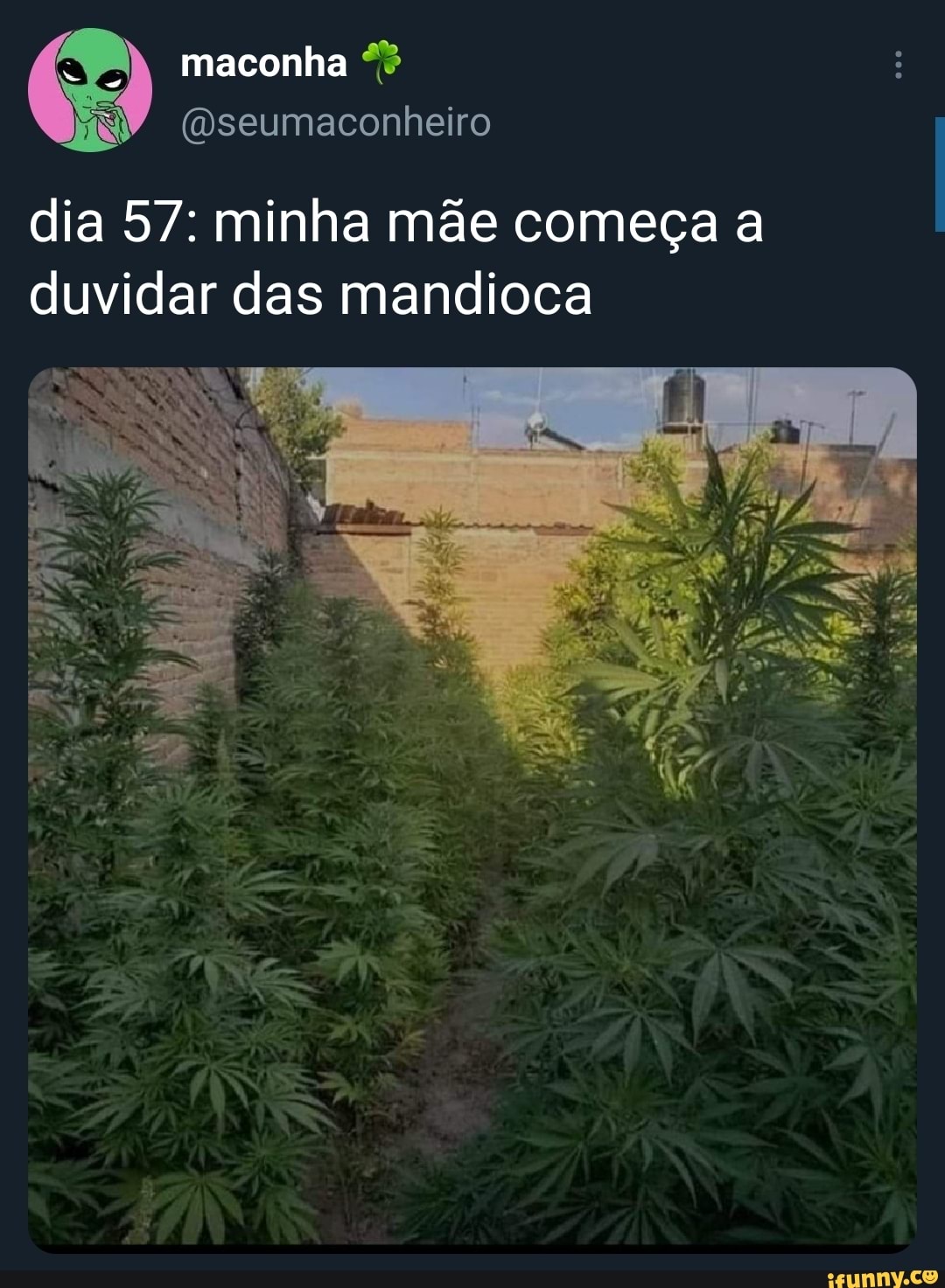 Minha plantação no mine ds - iFunny Brazil