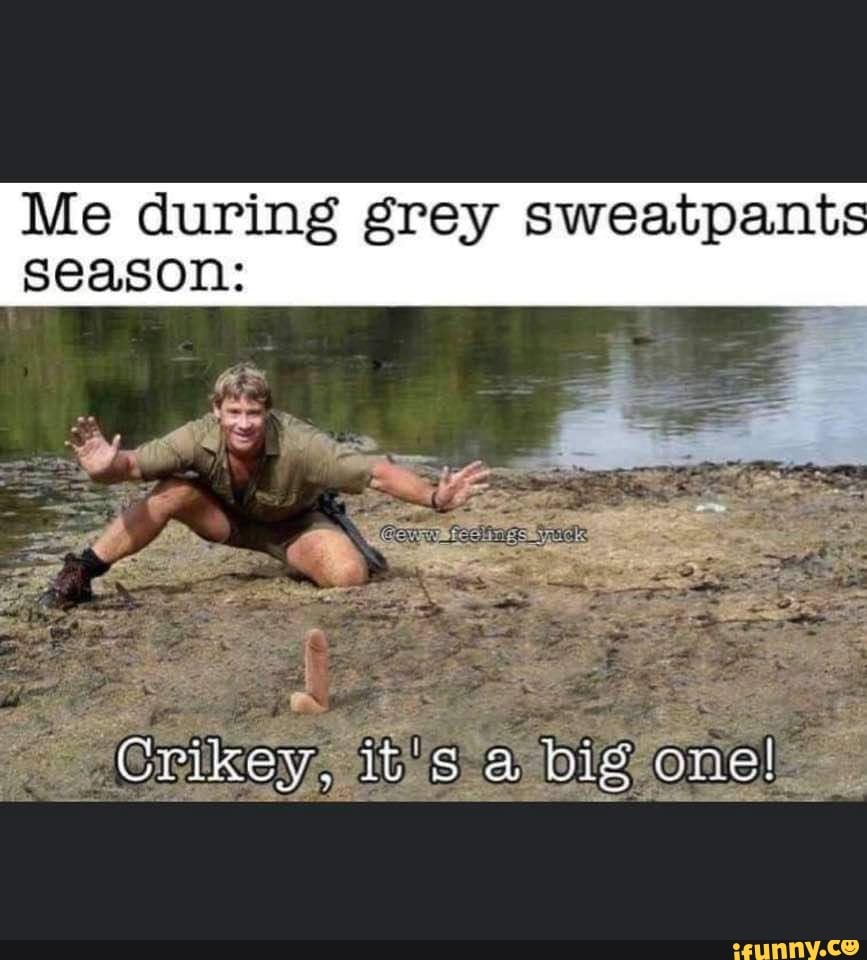 Me during grey sweatpants season: Crikey, 'itys a big one! - iFunny Brazil
