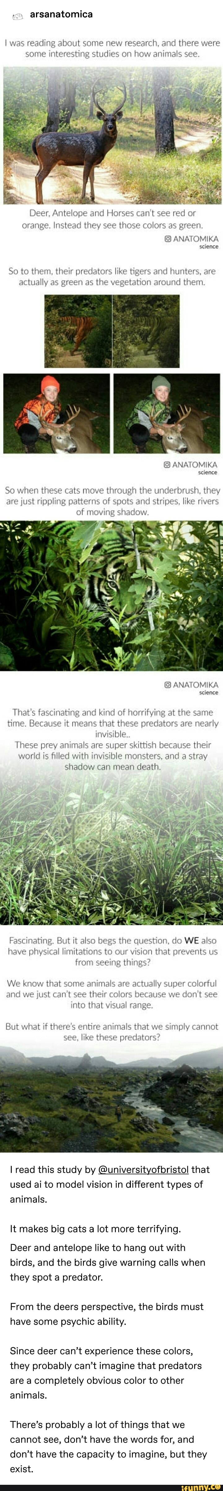 Anatomika memes. Best Collection of funny Anatomika pictures on iFunny