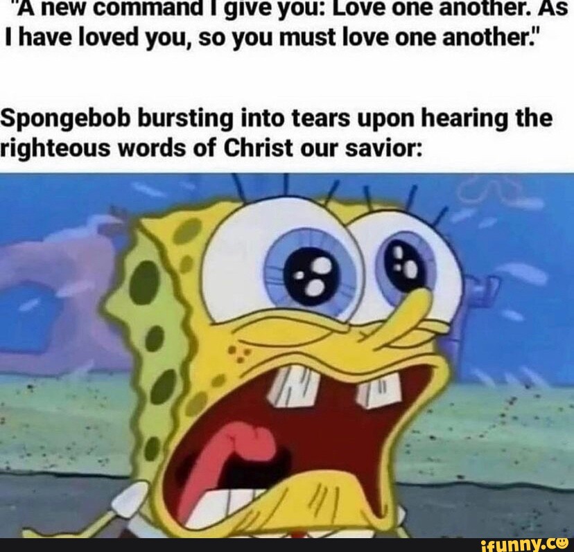 SpongeBob Memes on X: No Drama No Tears  / X