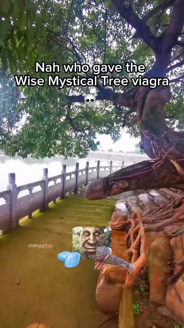 Mystical memes. Best Collection of funny Mystical pictures on iFunny Brazil