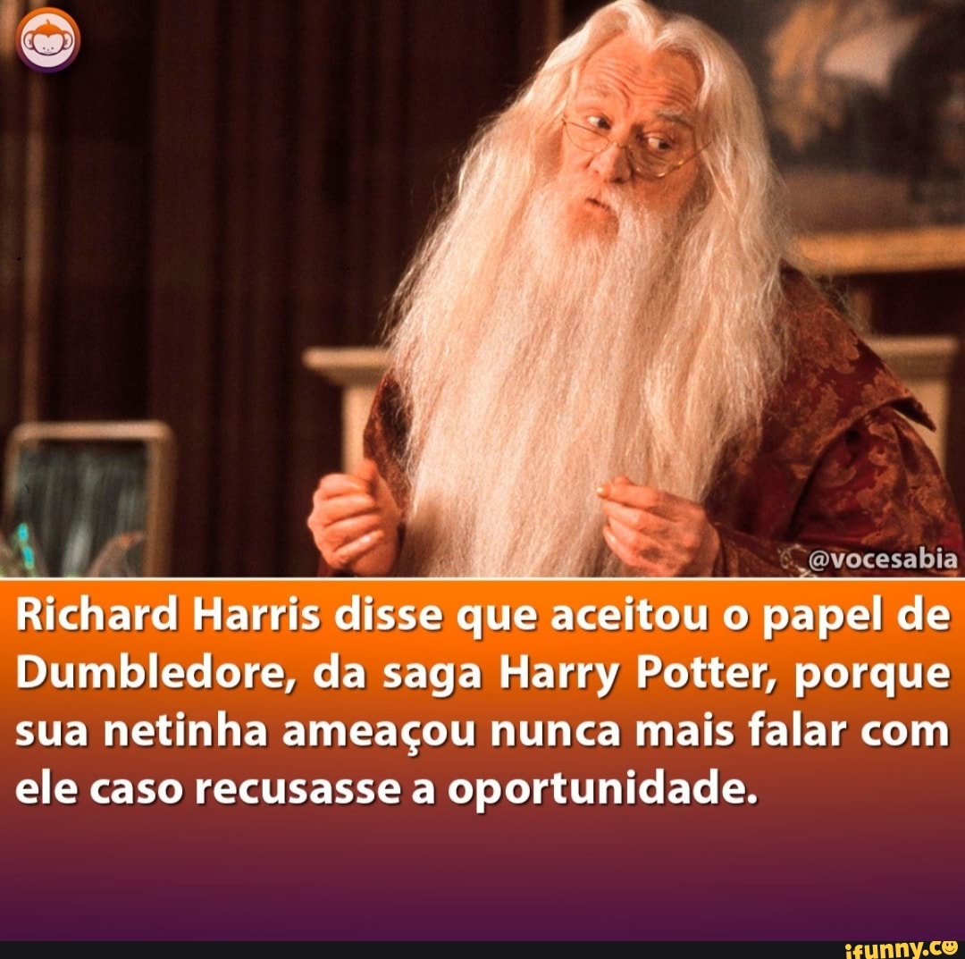 O cara é mais Harry Potter que o Harry potter - Ah Negão!