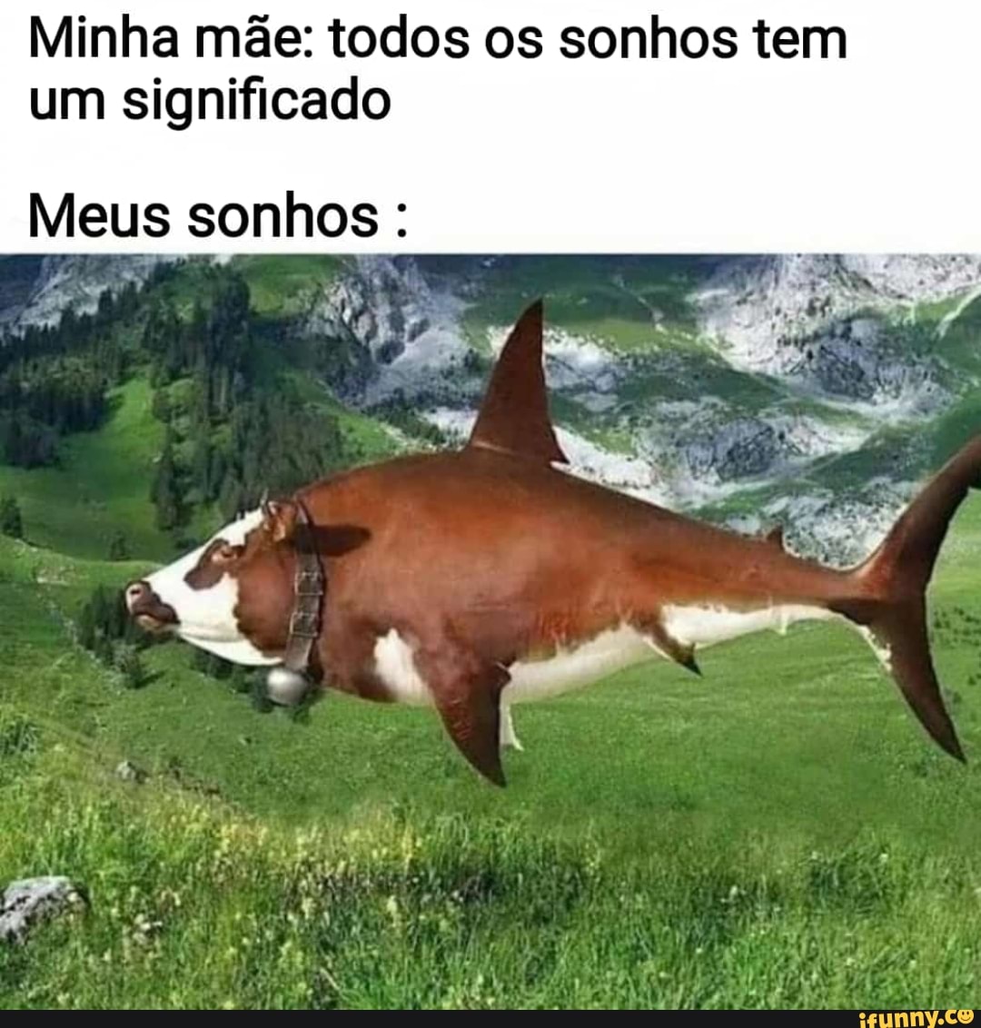 REQUIEM SHARK definição e significado