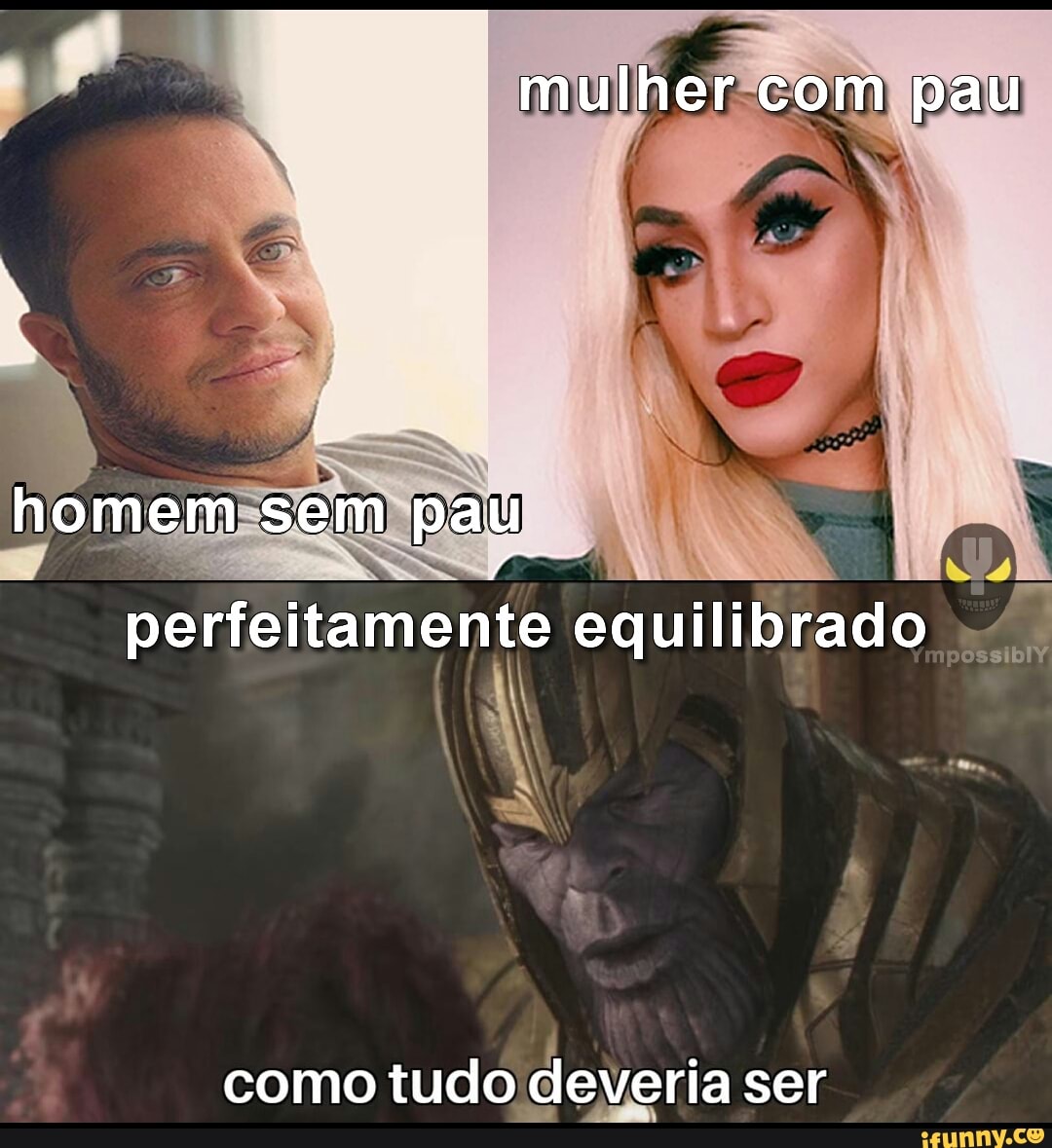 Mulher com pau homem sem pau perfeitamente equilibrado como tudo deveria  ser - iFunny Brazil