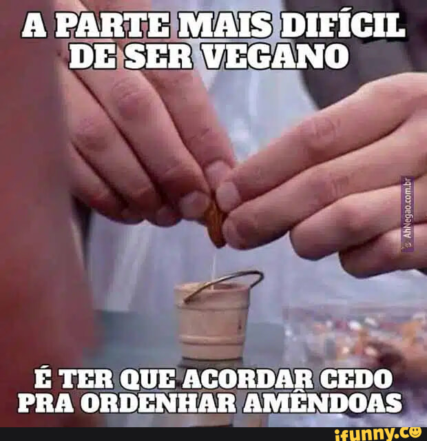 Meme de 1000 de memes de fino sofores, - iFunny Brazil