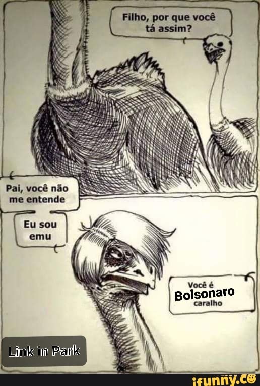 VOCÊ É A VERGONHA DA PROFISSION - iFunny Brazil