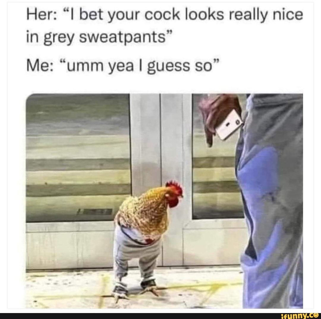 Her: bet your cock looks really nice in grey sweatpants Me: umm yea I  guess so - iFunny Brazil