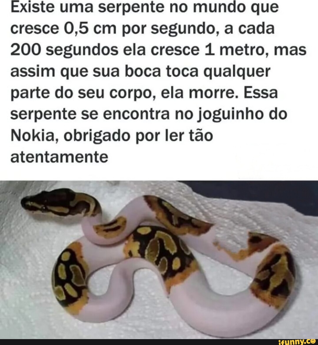 Existe uma serpente no mundo que cresce 0,5 cm por segundo, a cada 200  segundos