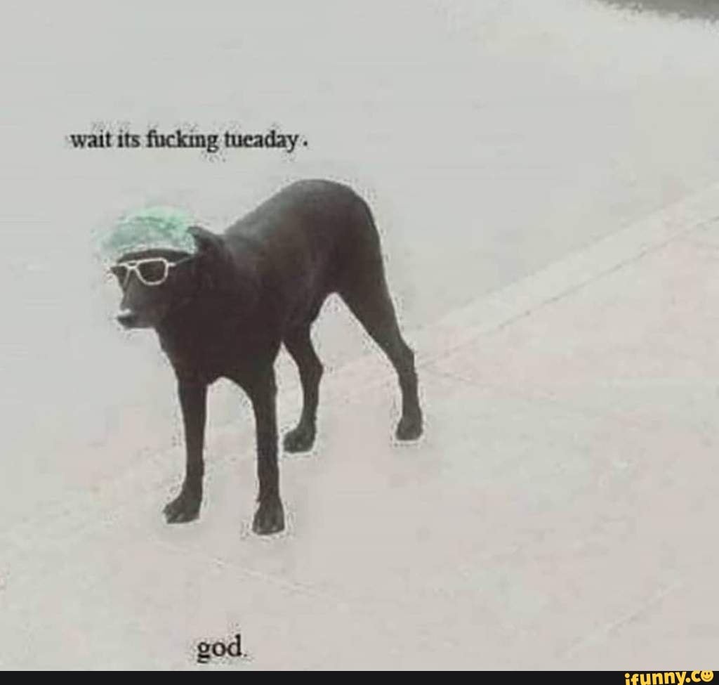 Wait its fuckm: tucaday god. - iFunny Brazil