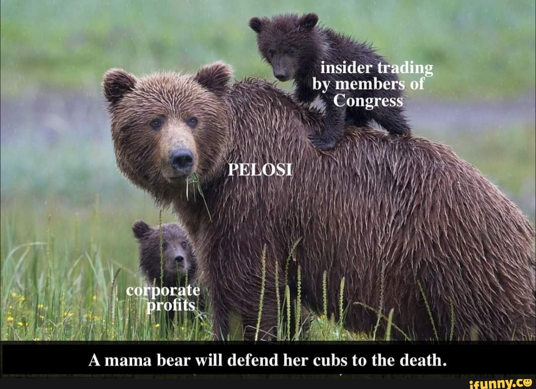 TeeTurtle - Mama bears, baby bears, and everyone else will