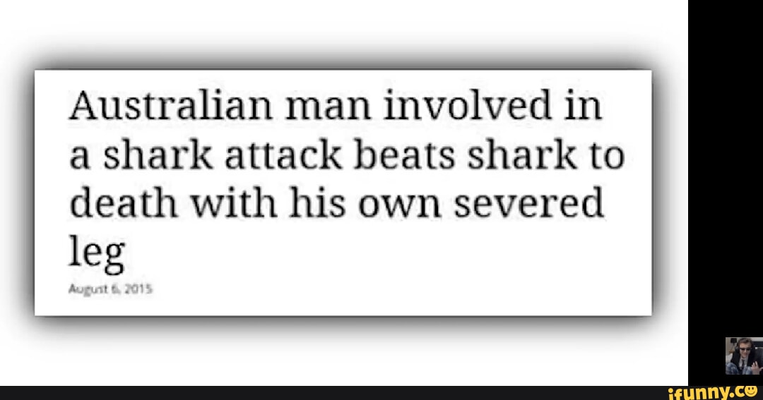 Australian man involved in a shark attack beats shark to death with his